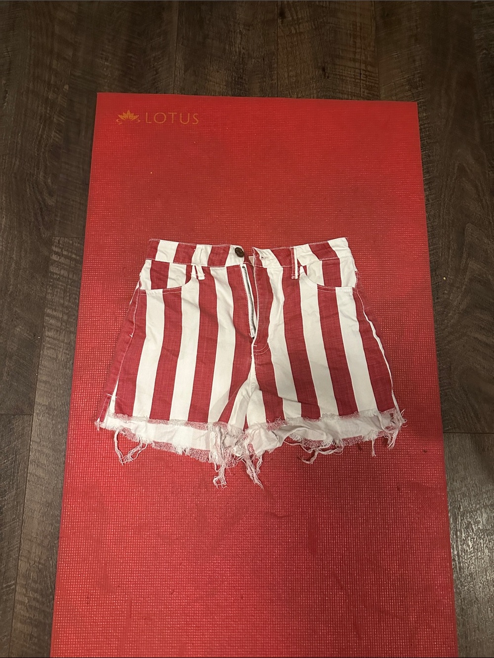 Show Me Your MuMu Red and White Striped Denim Shorts